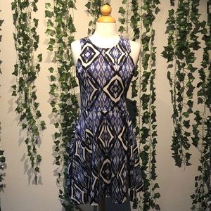 Francesca's skater dress